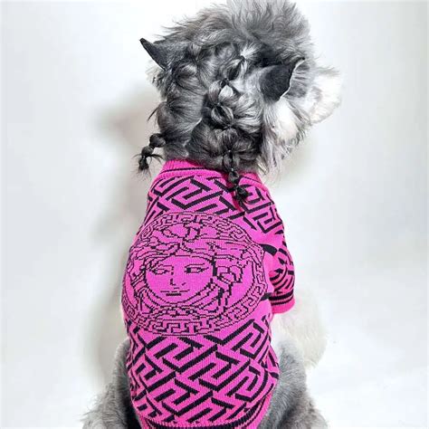 versace dog collars|versace dog robe.